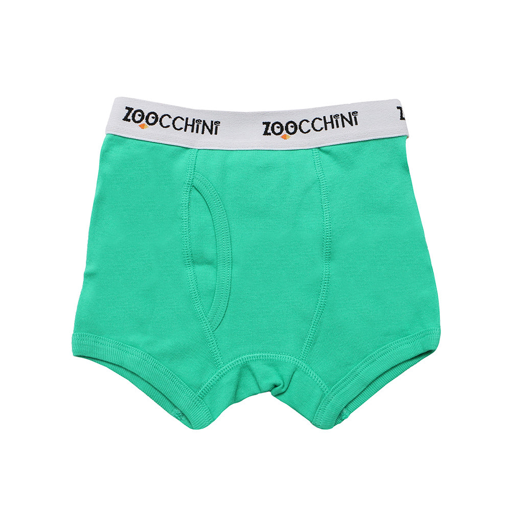 ZOOCCHINI 3 Piece Organic Boxers - Space Force