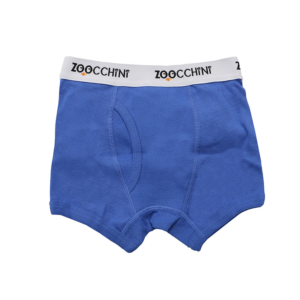 ZOOCCHINI 3 Piece Organic Boxers - Space Force