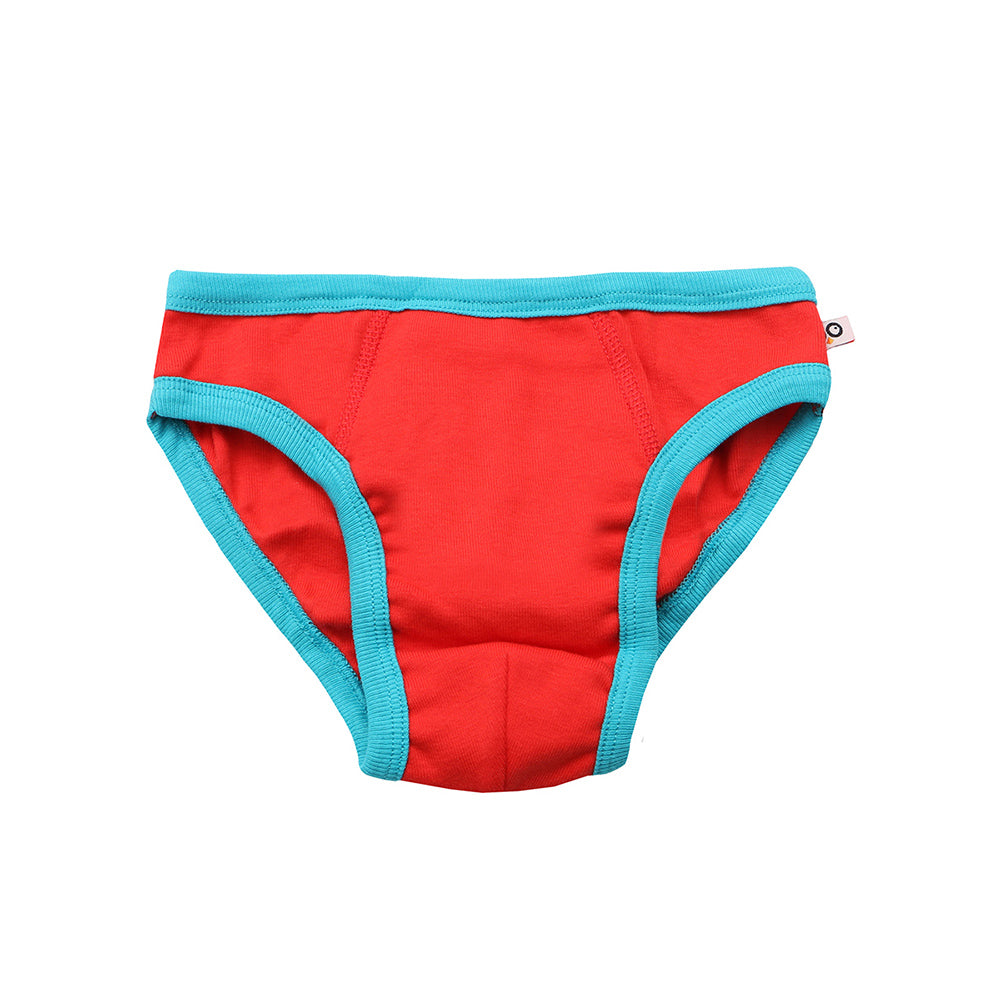 ZOOCCHINI 7 Piece Organic Briefs - Days of the Week